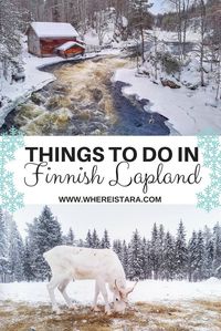 Things to do in Ruka Kuusamo, Finnish Lapland, Finland. From reindeer to skiing, snow-shoeing and ice-climbing. It's a winter wonderland.