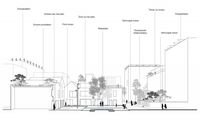 Buiksloterham - DELVA Landscape Architecture & Urbanism