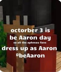 #beaaron #aphmau