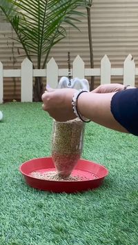 Learn how to create a simple homemade bird feeder in minutes. Invite beautiful birds into your garden with this easy guide and start enjoying the view!