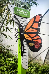 Botanica Gardens Butterfly House Interactive Signage on Behance