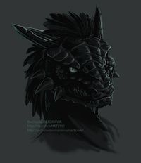 m Dragonborn Black Monk portrait traveler If the setting was Skyrim, probably d&d