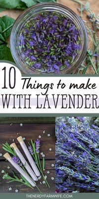 Here are 10 useful and pretty things that you can make with lavender. I’ve also included a FREE Lavender “Cheat Sheet” as a helpful reference you can use when growing, harvesting, and making lavender goodies!