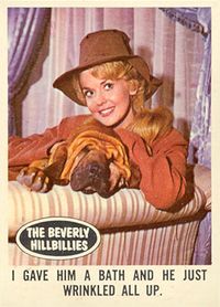 1963 Topps Beverly Hillbillies   #18 Non-Sports Card