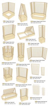 estructura