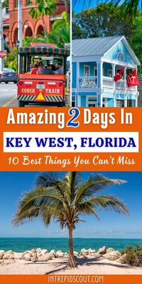 Make the most of 2 perfect days in Key West! Discover 10 must-see attractions, from stunning beaches to historic landmarks and vibrant local culture. Ideal for a quick, unforgettable tropical getaway!


#KeyWestTravel #KeyWestVacation #TropicalGetaway #FloridaKeys #KeyWestAdventures #ExploreKeyWest #IslandLife #TravelFlorida #BeachVacation #BucketListDestinations #FloridaTravel #KeyWestMustSee #Wanderlust #BeachLovers #TravelItinerary