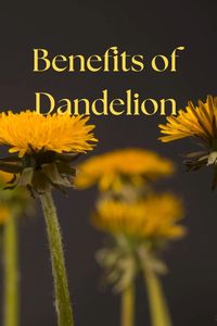 Dandelion is a natural remedy that helps eliminate excess water retention and relieves constipation. It supports liver detoxification, aiding in bile production to break down fats. Dandelion also detoxifies the body from heavy metals and helps balance sugar levels. It combats candida overgrowth and improves nutrient absorption. Rich in potassium, it can alleviate PMS symptoms and promote better gallbladder function. Adding dandelion to your routine can enhance overall wellness, supporting a healthier, more balanced body. Click on my Amazon associate link to get your dandelion supplement!