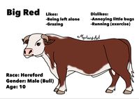 Based on a real Hereford we had on the farm once. I’ve been meaning to make him an OC for awhile.