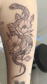 We’ve got wonderful Snake Plant Tattoo Ideas that will make everyone jealous of your ink! Ready to check these out?