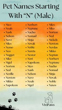 🐾 Introducing the Noteworthy 50: Male Pet Names Starting with N! From the charming Nico to the noble Napoleon, each name brings its own unique flair to your furry friend. Whether you're welcoming a new companion into your family or simply seeking inspiration, these names offer a diverse range of options. Explore the list and find the perfect moniker that resonates with your pet's personality and adds joy to your home! 🐶💫 #PetNames #MalePets #NNames