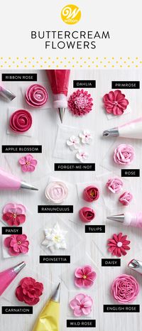 Learn how to pipe these truly beautiful buttercream flowers! These blossoms will turn any simple cake into a jaw-dropping masterpiece! Wow your friends and family at your next celebration with these timeless flower designs. #wiltoncakes #blog #howto #buttercream #piping #pipingskills #buttercreamflowers #cakes #cakedecorating #royalicing #appleblossom #carnation #dahlia #daisy #englishrose #forgetmenot #pansy #pinsettia #primrose #ranunculus #ribbonrose #rose #tulip #wildrose