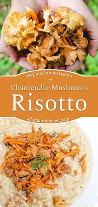 Chanterelle Mushroom Risotto: Chanterelle Mushroom Recipes - If you're looking for chanterelle recipes, you're going to love this easy mushroom risotto. I'd say, it's even one of the best mushroom risotto recipes around! Made with wild mushrooms, this risotto recipe is sure to please just about everyone. foraged mushroom recipes | foraging chanterelles