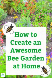 Design and layout a bee garden for your yard. What, when and how to grow a bee garden.   #beegardendiy #gardendiy #pollinatorgarden #gardendesign #beegardenidea