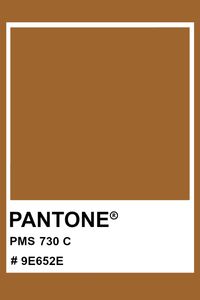 PANTONE 730 C #pantone #color #PMS #hex