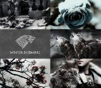 House Stark Aesthetic