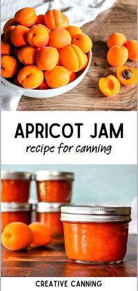 Embrace the art of canning with our apricot jam recipe. This jam, made without pectin, captures the pure, vibrant flavor of apricots. Our canning jam recipe ensures the process of canning fruit recipes becomes a delightful part of your culinary journey. Start preserving apricots and savor the homemade delight of apricot jam any day of the year.