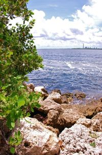 Hiking the Trails of Biscayne National Park – Dante Fascell Visitor Center at Biscayne National Park – Homestead, Florida – 09/03/2011 – SPG Family Adventure Network