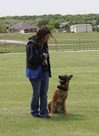 What to look for when hiring a dog trainer | The Collared Scholar