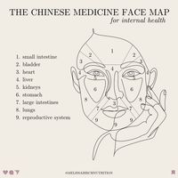 Traditional chinese medicine, face mapping, acne, internal health, acne face map, skin health, acne nutritionist, naturopathic medicine, naturopathy