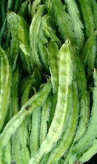 Sigarilyas (Winged Beans)