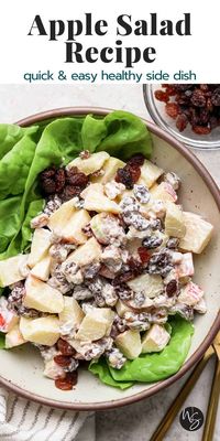 Our quick and easy Apple Salad is one of our all-time favorite side salads! Made with only 4 simple ingredients that can all be adjust according to your personal taste. Enjoy with the rest of your favorite side dishes at any holiday parties or special occasions! This recipe is Paleo, dairy-free and gluten-free.