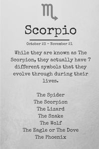 Welcome to Scorpio Season! Get ready for an intense period of extremes. You’re about to be stripped down and transformed. Scorpio is magnetic, secretive, and once they make up their mind...there is no dissuading them. To put it simply, Scorpio is powerful.