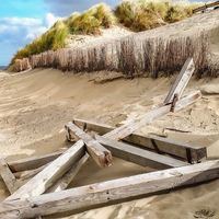 Esther | Your Dutch Guide op Instagram: "The beaches of Ameland. Desolate, rugged and stunning. Surrounded by beautiful dunes. To reach the most beautiful beaches of Ameland…"