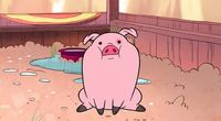 Gravity Falls Waddles