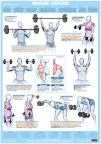 Bodybuilding Posters Weight Training Exercise Charts - Etsy Canada