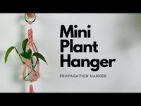 Mini Macrame Plant Hanger | DIY Propagation Station - YouTube