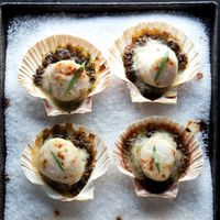 This classic preparation of wine-poached scallops, broiled abed mushroom purée with a rich cream sauce, will give you new found appreciation for the old ways.