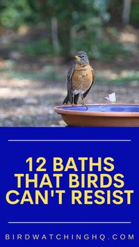 New ideas for bird baths that birds love. Including fountains, and planters that can be an accent to your garden landscape and keep the birds coming back to your yard.