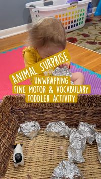 Learn Animals Unwrapping Fine-Motor, Sensory, Vocabulary, & Montessori Activity for Toddle… in 2022 | Toddler activities, Montessori activities, Toddler learning activities