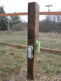 DIY Goat Scratching Post - The Goat Spot - Goat Forum