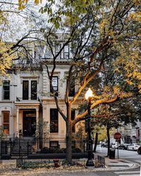 Sveta 🌿 Chicago, IL (@sdamiani) posted on Instagram: “magical twilight hour on my walk around Chicago’s Gold Coast ✨ love this little corner even though they don’t have any Halloween…” • Oct 20, 2020 at 11:33pm UTC