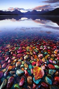 Pebble Shore Lake in Glacier National Park, Montana, United States