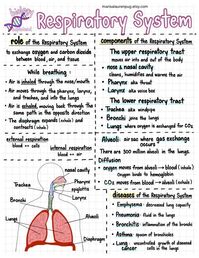 high school biology cheat sheet style notes outline