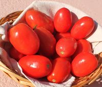 What's Cookin' Italian Style Cuisine: Slow cooker Stewed Tomato Recipe