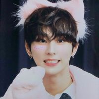 enhypen jungwon lq icon pfp