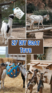 Discover 27 easy-to-make DIY goat toys that will keep your goats happy and active! From hanging feeders to homemade climbing structures, these ideas are perfect for any goat owner looking to provide enrichment and fun for their herd.