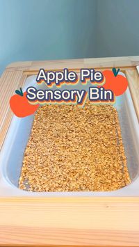 Bring in fall with an apple pie sensory bin!