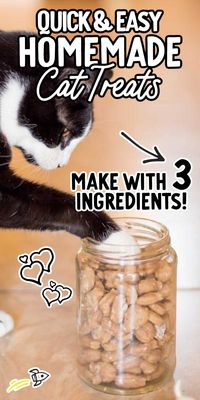 Homemade cat treats, crafted with just three simple ingredients, offer a delicious and safe way to pamper your feline friend.