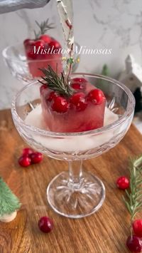 🍸Ingredients for Mistletoe Mimosas (or mocktails): * 1 cup fresh cranberries * 6 sprigs of rosemary * 1/2 cup cranberry juice cocktail * 1/2 cup apple juice * 1 bottle (750 ml) of Champagne** (or Sparkling Apple Cider), chilled ❄️Utensils You’ll Need: * Ice Cube Mold * Cocktail Glasses #mistletoemimosa #christmascocktails #christmasdrinks #mocktails #mocktailrecipe #christmasmimosa #holidaycocktail #mimosa #holidaycocktailparty #mimosaicecubes #holidayrecipe #christmasrecipe