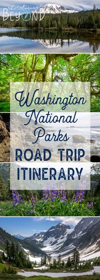 WA Road Trip Itinerary, Olympic National Park. www.adventuringbeyond.com