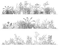 Grass doodle sketch style set hand drawn Vector Image