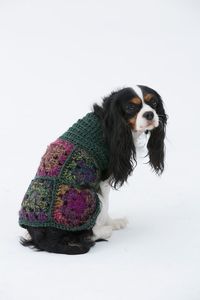 Granny square crochet dog sweater pattern for medium dogs. Quick and easy - great if you're a beginner! #crochet #freepattern #pattern