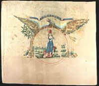 This flag was carried by an unknown Virginia regiment. On April 8, 1865, Major Thomas Ward of General Armstrong Custers's cavalry division captured it near Namozine Church. Major Ward was General Custer's brother-in-law.