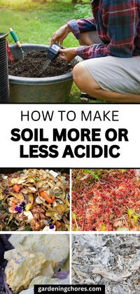 Unlock the secrets to perfect soil pH with our comprehensive guide on making soil more or less acidic! Whether you're aiming for thriving hydrangeas or bountiful blueberries, we've got you covered. Dive into our blog for practical tips, expert insights, and easy-to-follow techniques to tailor your soil acidity to the needs of your plants. Don't let pH levels hold back your gardening success - click to read more and take control of your soil for a flourishing garden today!