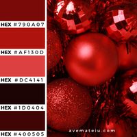 Christmas Background Color Palette 359  - Color combination, Color pallets, Color palettes, Color scheme, Color inspiration, Colour Palettes, Art, Inspiration, Vintage, Bright, Background, Warm, Dark, Design, Yellow, Green, Orange, Red, Purple, Rustic, Fall, Christmas, Thanksgiving, Christmas 2019, Nature, Seasonal, Wood, Wooden, Season, Natural