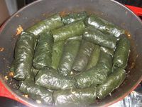 Stuffed Mallow leaves